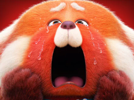 HD PC desktop wallpaper of the giant orange-red panda from the movie Turning Red, crying with mouth wide open against a bold red background.