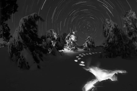 star trail winter nature night winter night HD Desktop Wallpaper | Background Image