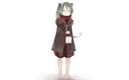 Anime girl anime girl HD Desktop Wallpaper | Background Image