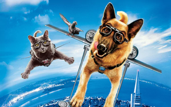 cat dog movie Cats & Dogs: The Revenge Of Kitty Galore Cat & Dog HD Desktop Wallpaper | Background Image