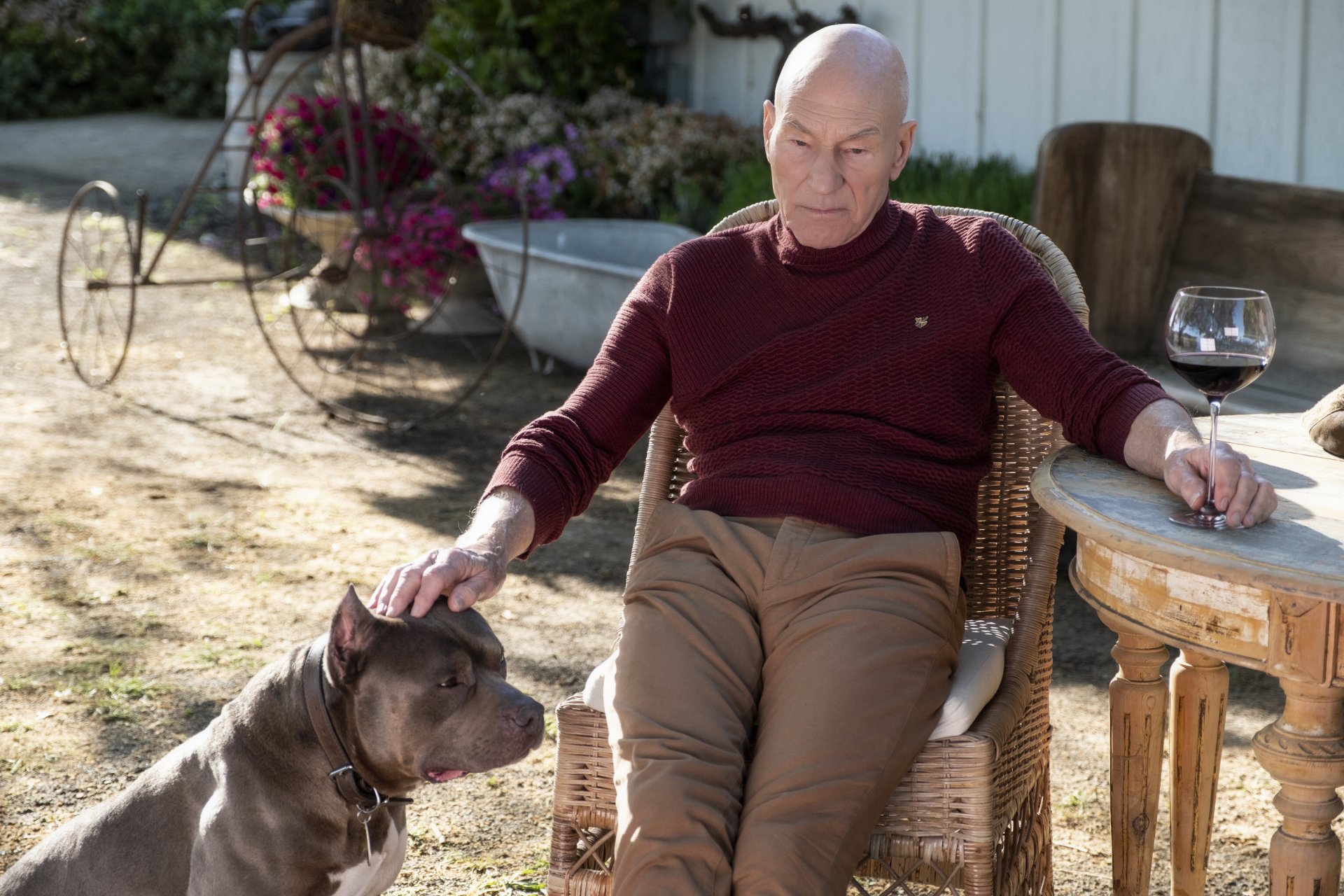 Download Jean-Luc Picard Patrick Stewart TV Show Star Trek: Picard HD Wallpaper