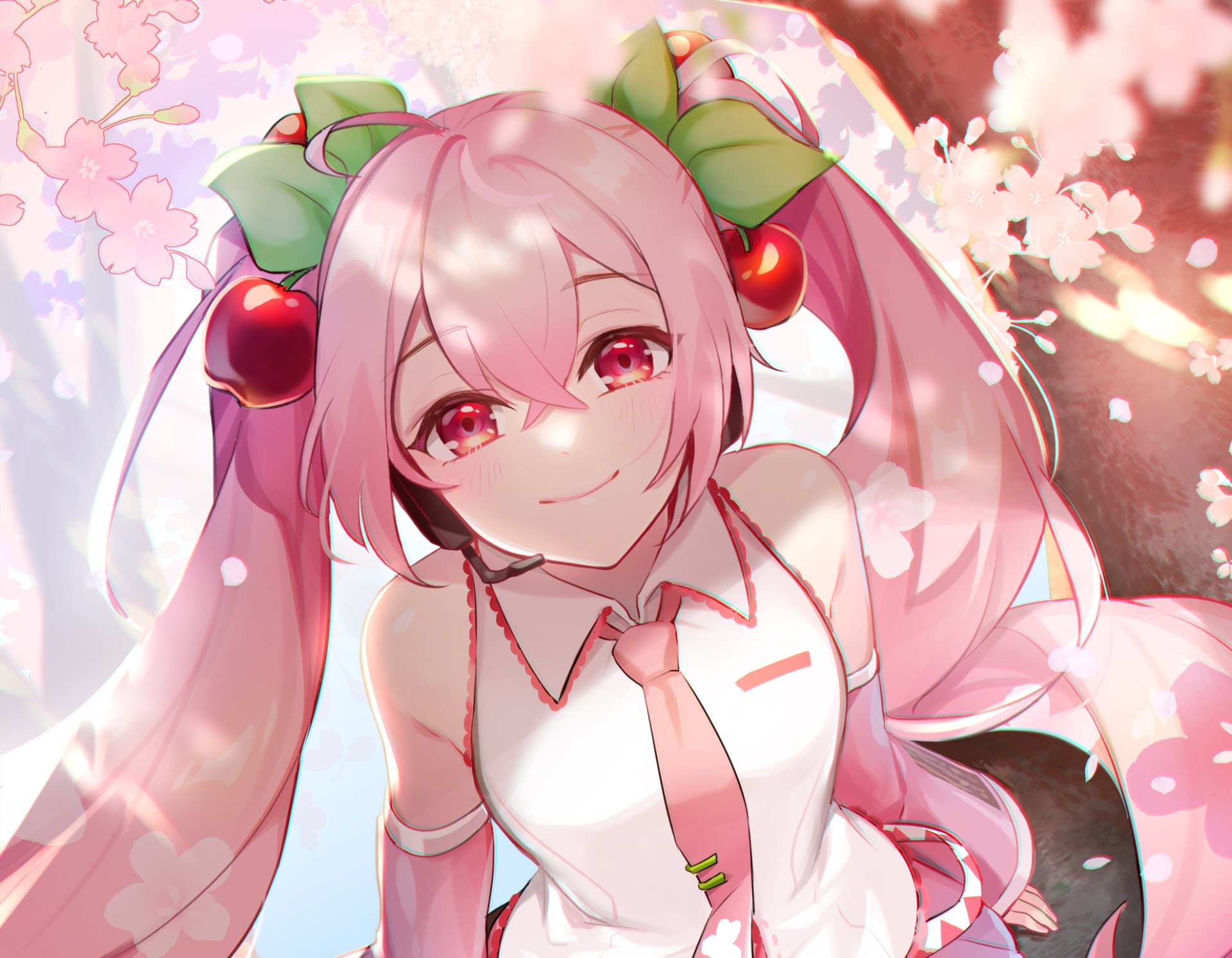 Download Sakura Miku Anime Vocaloid HD Wallpaper