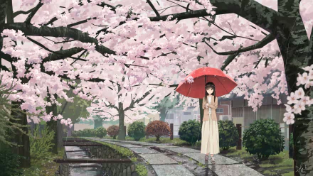 Anime girl holding a red umbrella beneath blooming sakura on a rain‑soaked stone path, pink cherry blossoms arching — 2K Quad HD PC desktop wallpaper.