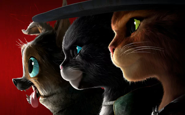 Puss in Boots movie Puss in Boots: The Last Wish HD Desktop Wallpaper | Background Image