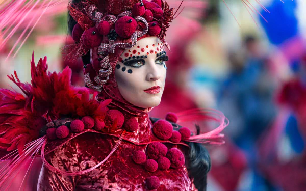 photography carnival HD Desktop Wallpaper | Background Image