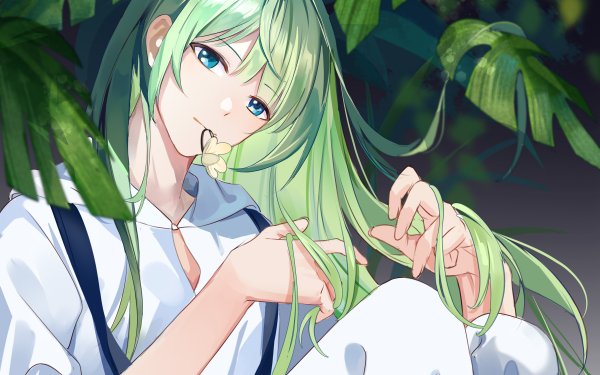 Anime Fate/Grand Order Fate Series Lancer HD Wallpaper | Background Image