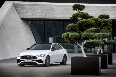 vehicle Mercedes-AMG C 43 HD Desktop Wallpaper | Background Image