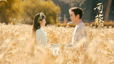 Qin Fang Si Teng TV Show Rattan HD Desktop Wallpaper | Background Image