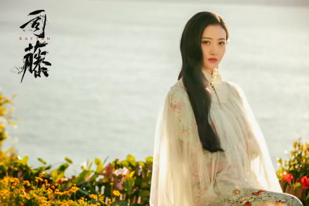 Si Teng TV Show Rattan HD Desktop Wallpaper | Background Image