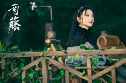 Si Teng TV Show Rattan HD Desktop Wallpaper | Background Image