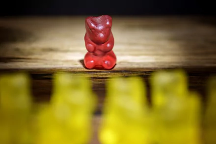 food gummy bear HD Desktop Wallpaper | Background Image