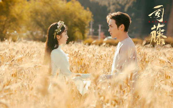 Qin Fang Si Teng TV Show Rattan HD Desktop Wallpaper | Background Image