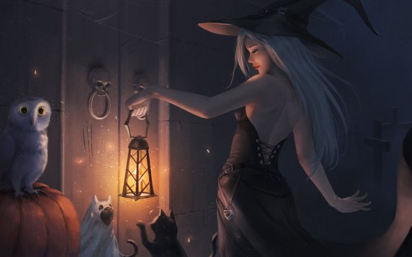 Fantasy Witch Black Dress Owl Cat Lantern Pumpkin HD Wallpaper | Background Image