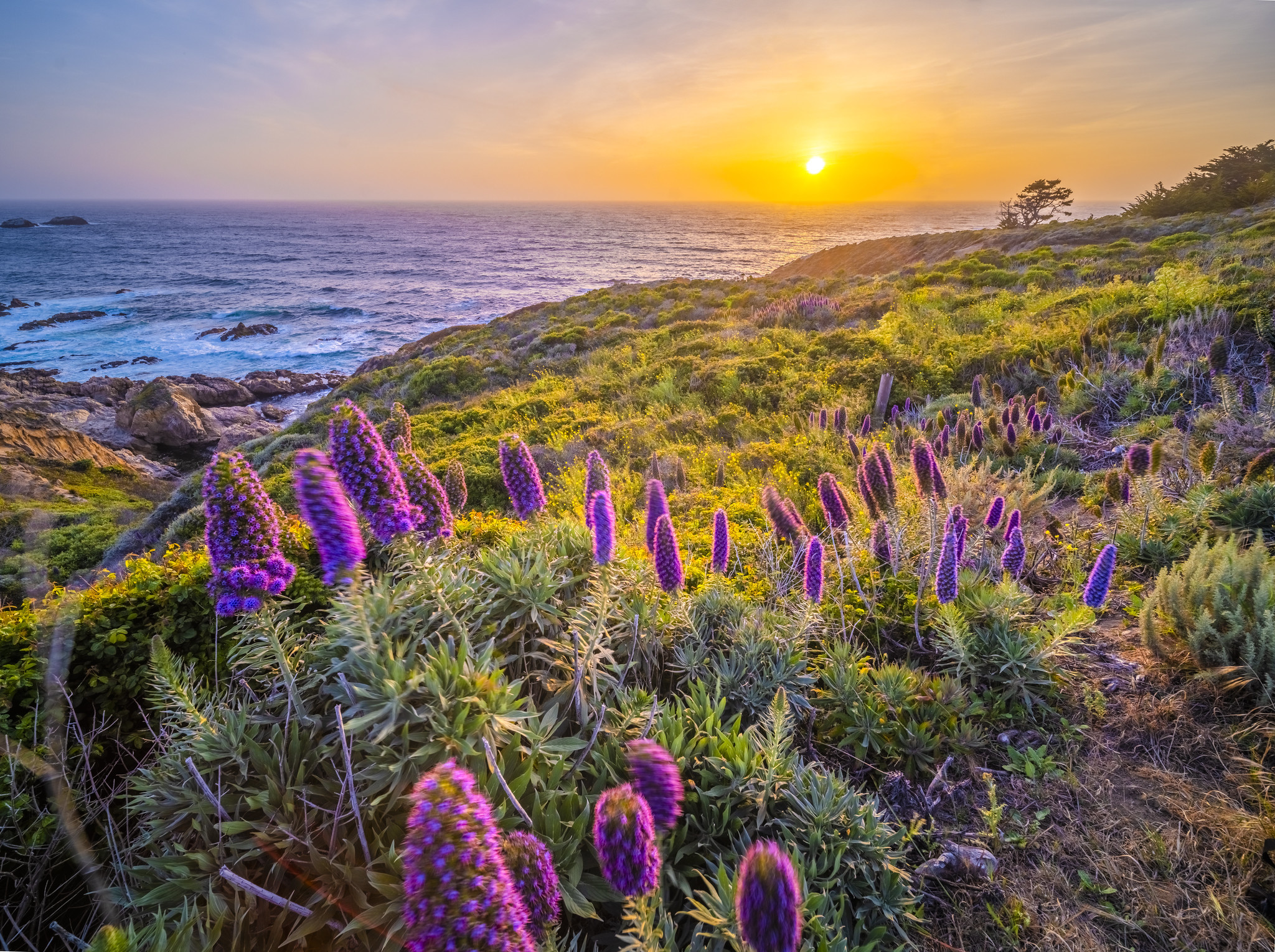 Download Sea Sunset Nature Meadow HD Wallpaper