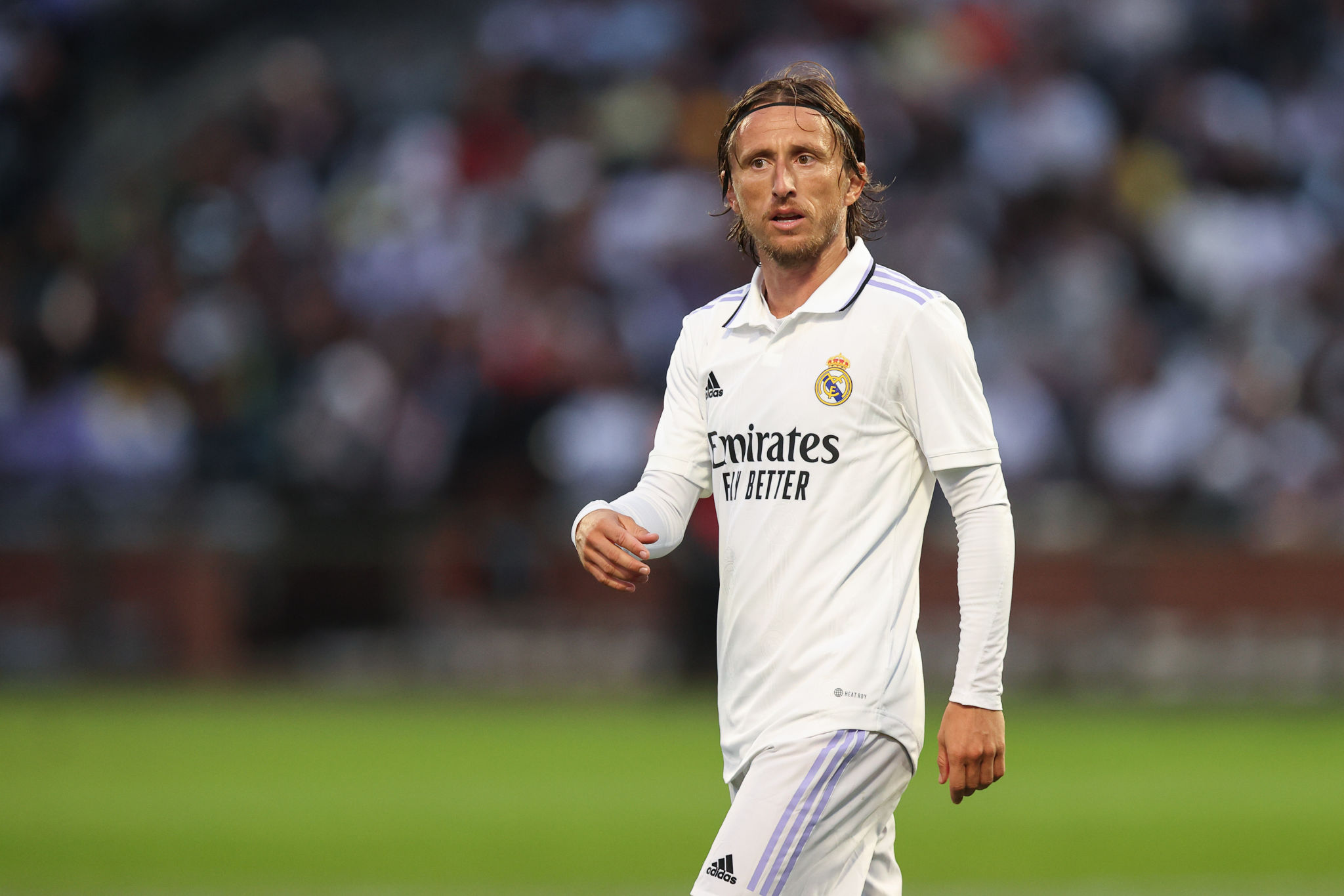 Luka Modric 2022 PNG. Модрич лайк. Лука Модрич с боку. Лукас.