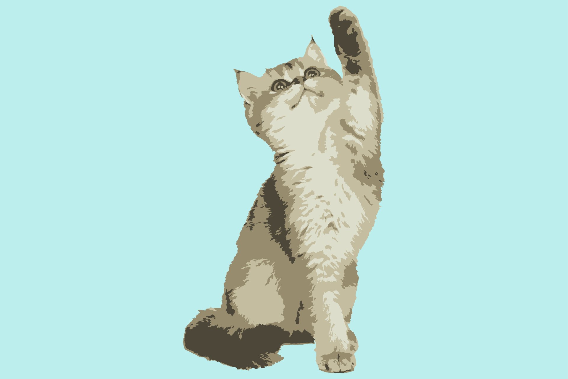 Download Animal Cat 8k Ultra HD Wallpaper by yngams