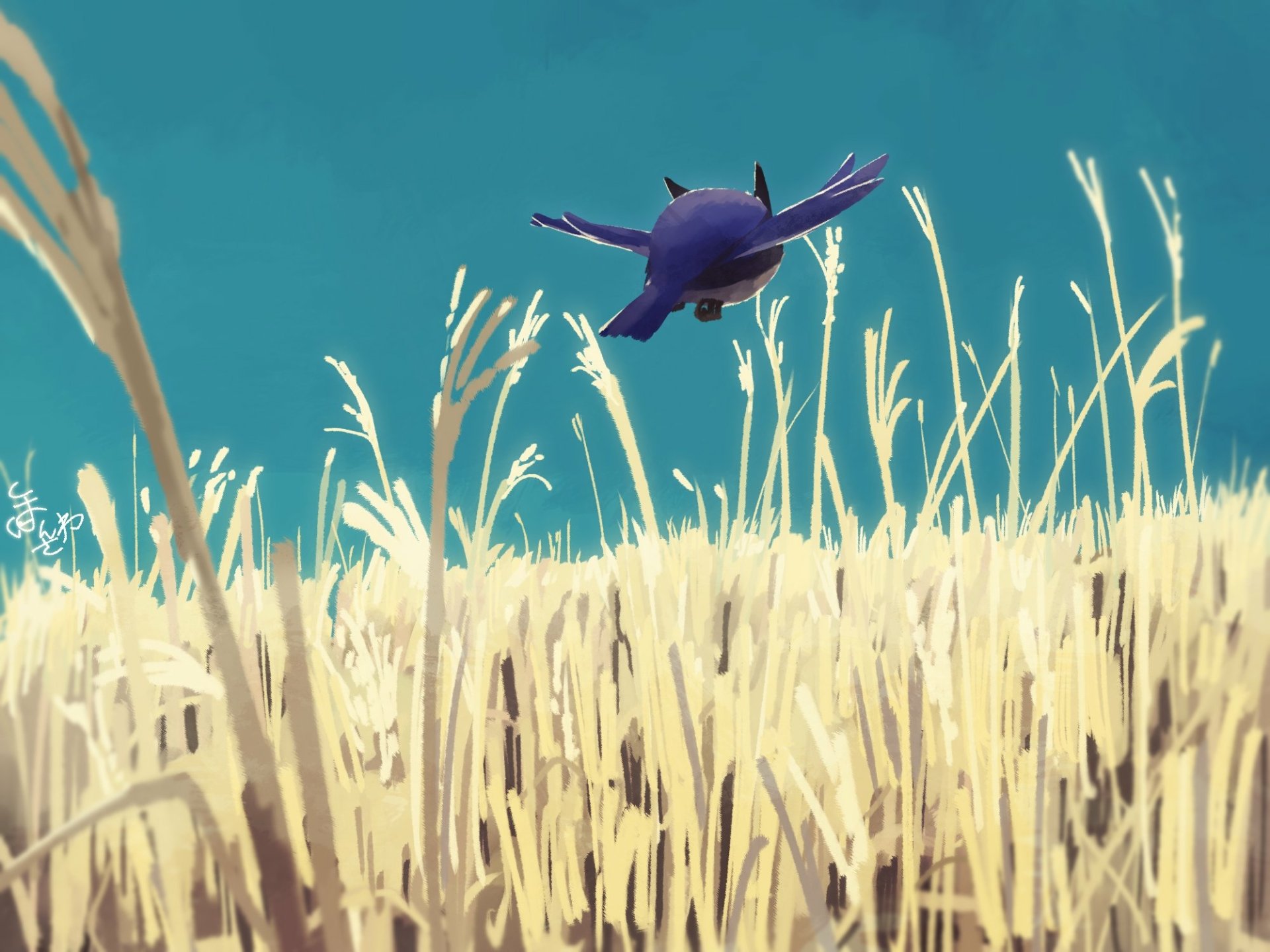 Download Rookidee (Pokémon) Video Game Pokémon: Sword And Shield HD Wallpaper