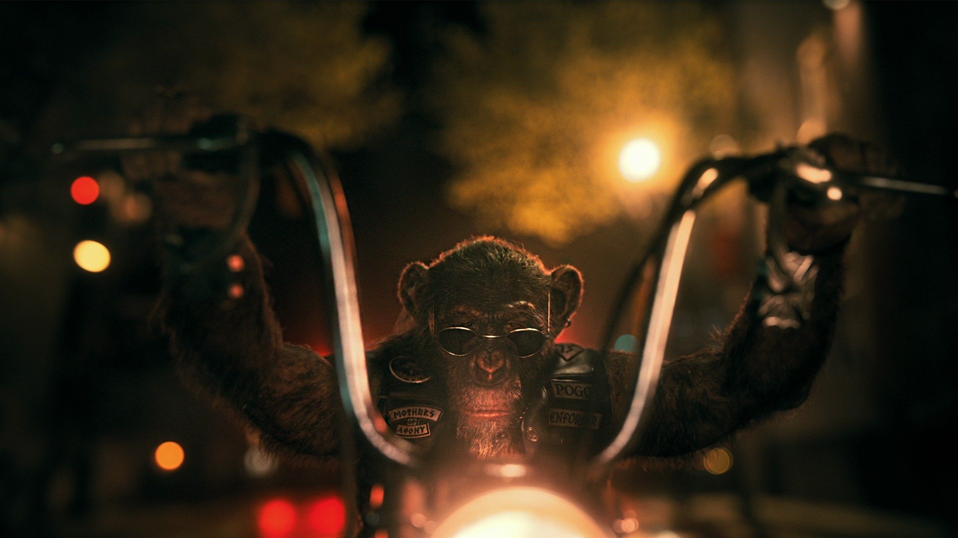 Download Pogo (The Umbrella Academy) TV Show The Umbrella Academy HD Wallpaper