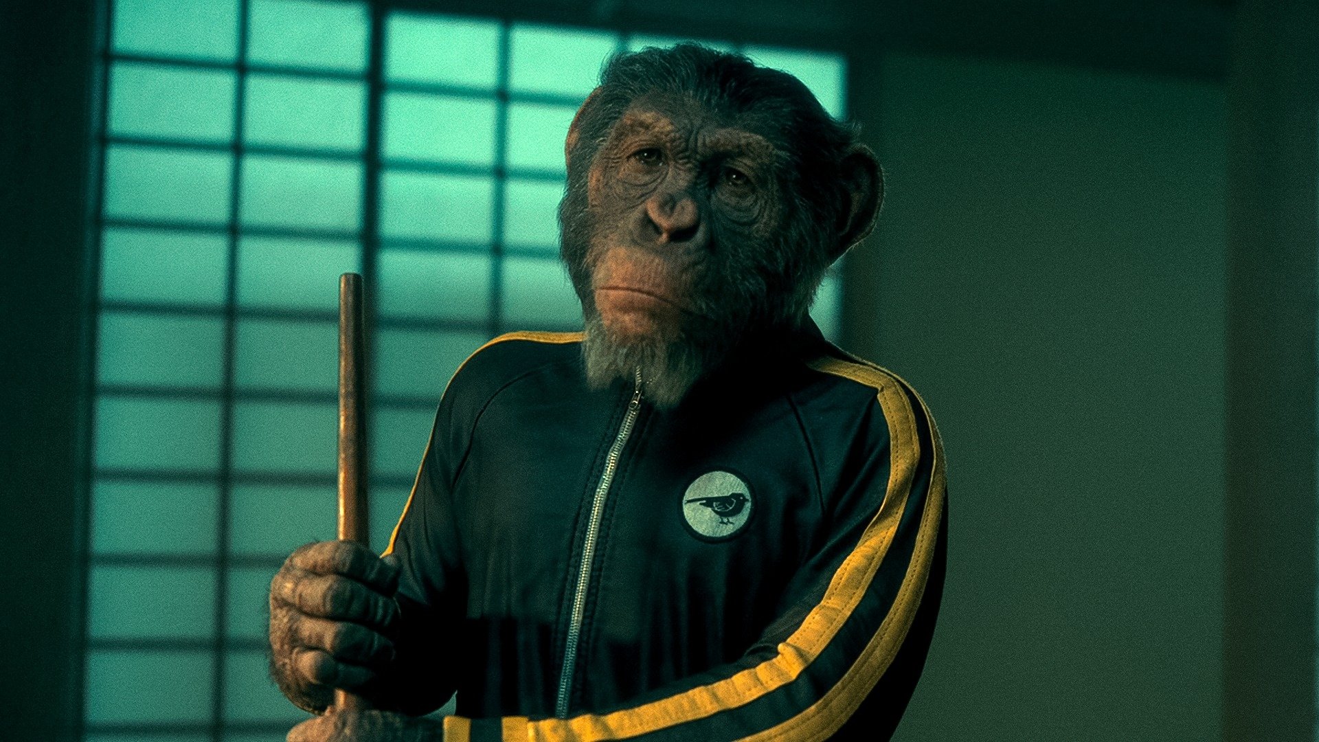 Pogo (The Umbrella Academy) Desktop Wallpapers, Phone Wallpaper, PFP