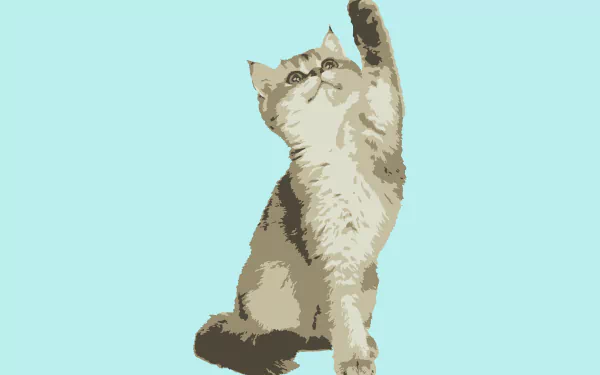 Animal cat HD Desktop Wallpaper | Background Image