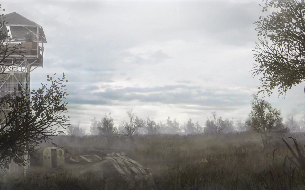  Great Swamp by DKud