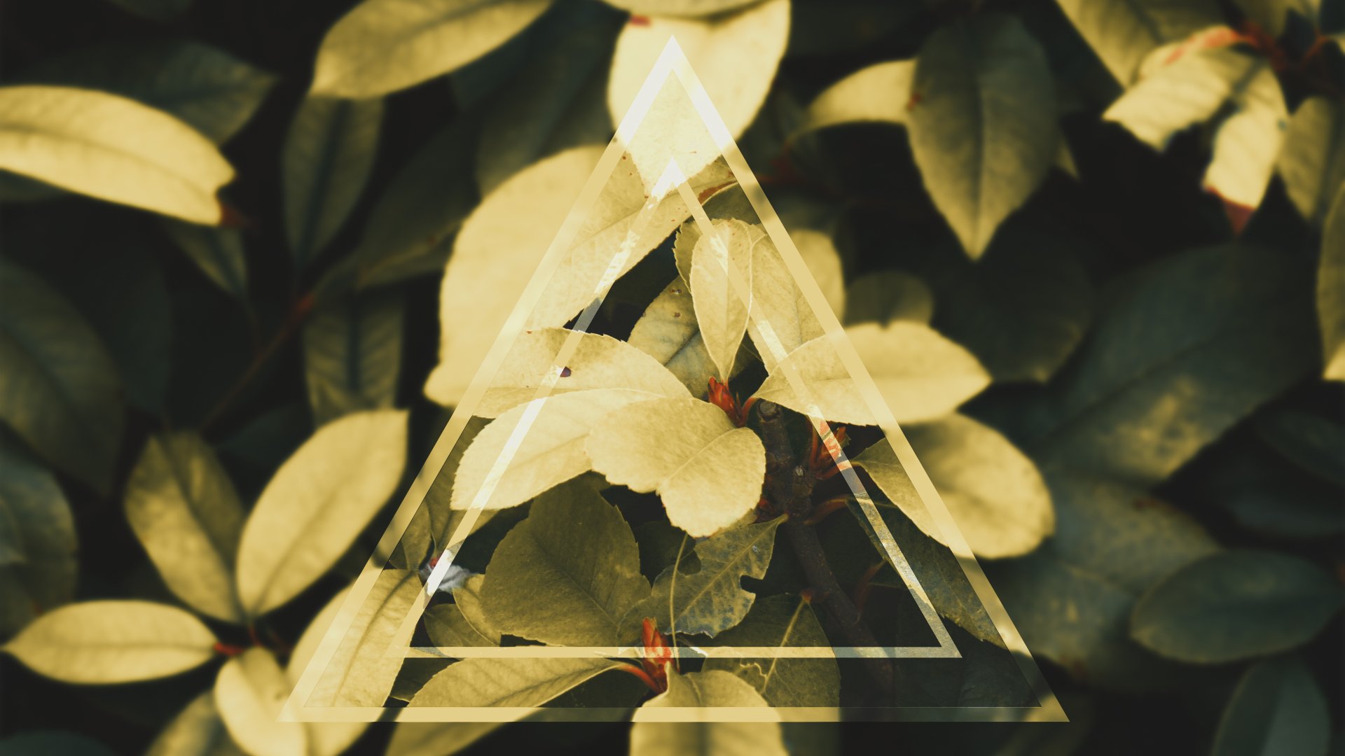 Artistic 4K Ultra HD desktop wallpaper featuring a green leafy landscape with an overlay of a translucent triangular geometric design.