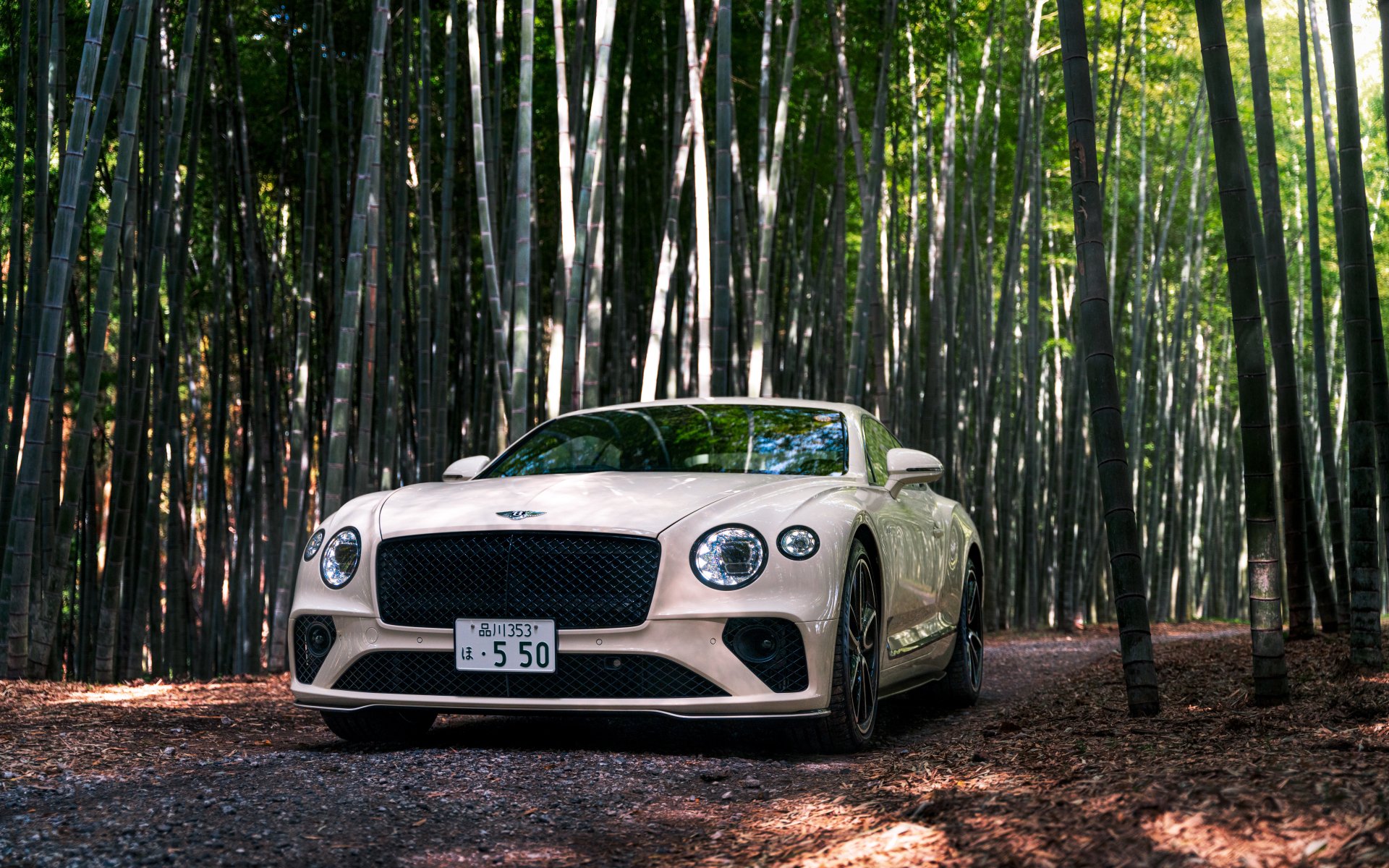 Download Vehicle Bentley Continental GT V8 8k Ultra HD Wallpaper