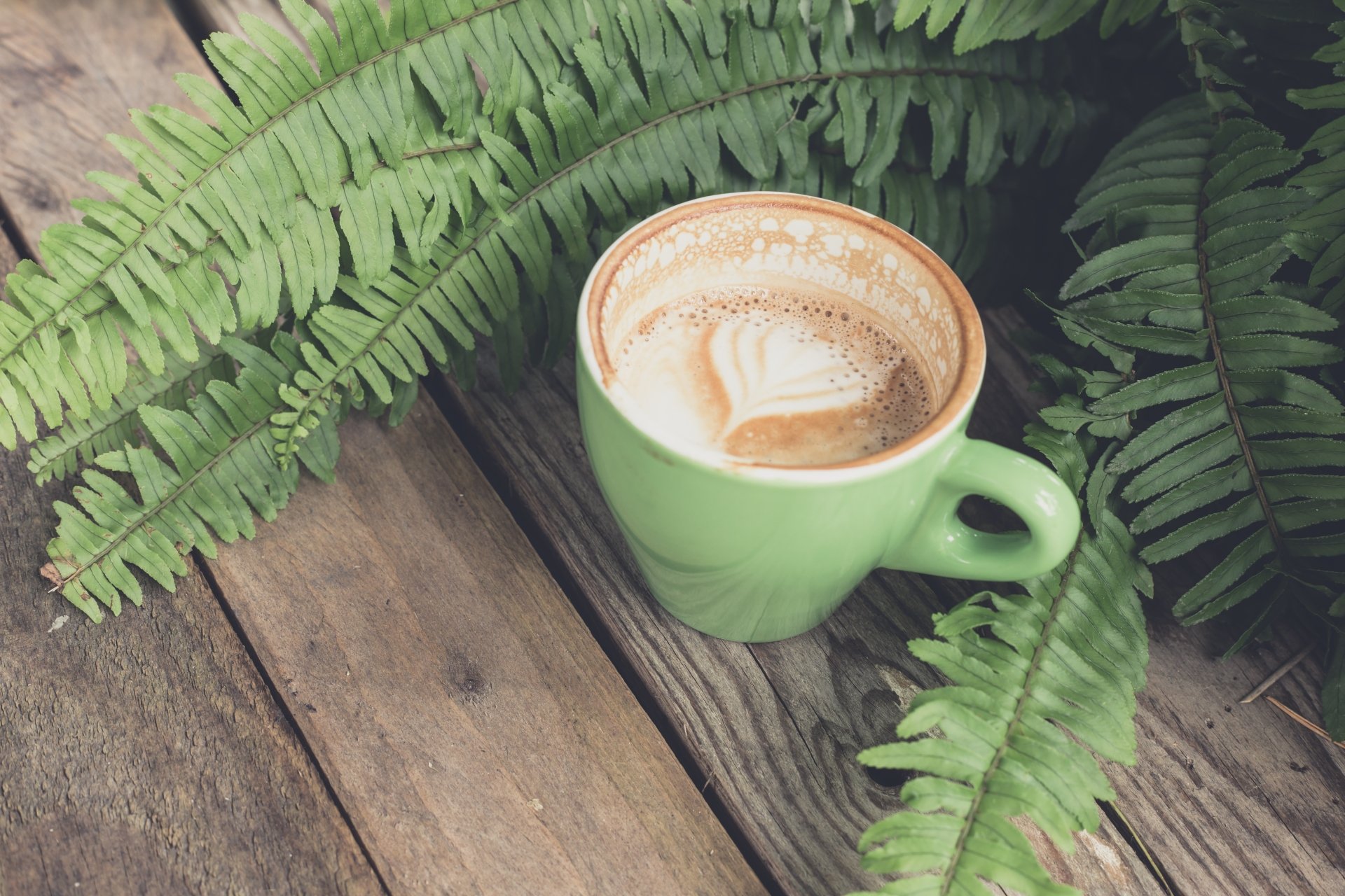 Чашка кофе и листья папоротник