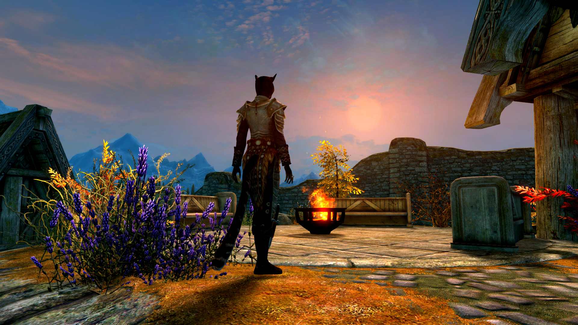 Looking The Whiterun's View by Michael Moraes