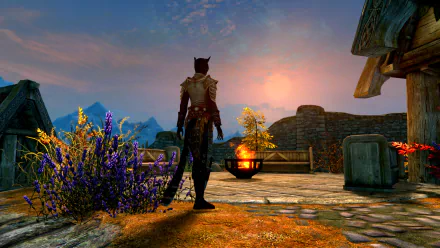  Looking The Whiterun's View