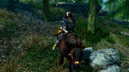  Male Khajiit with a Horse walking by Lakeview Manor in Skyrim