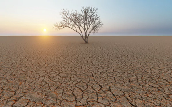 lonely tree nature desert HD Desktop Wallpaper | Background Image