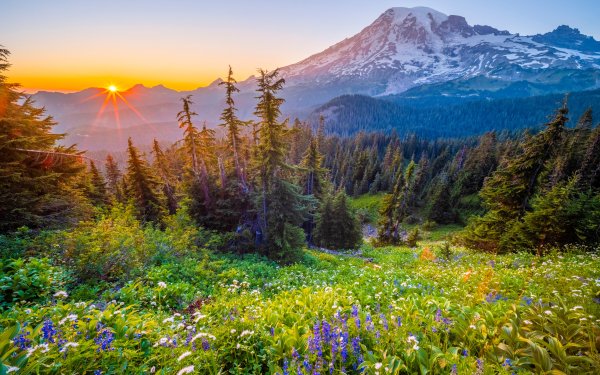 Nature Sunrise Mountain HD Wallpaper | Background Image