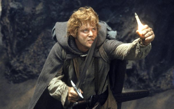 Sean Astin Samwise Gamgee movie The Lord of the Rings: The Return of the King HD Desktop Wallpaper | Background Image