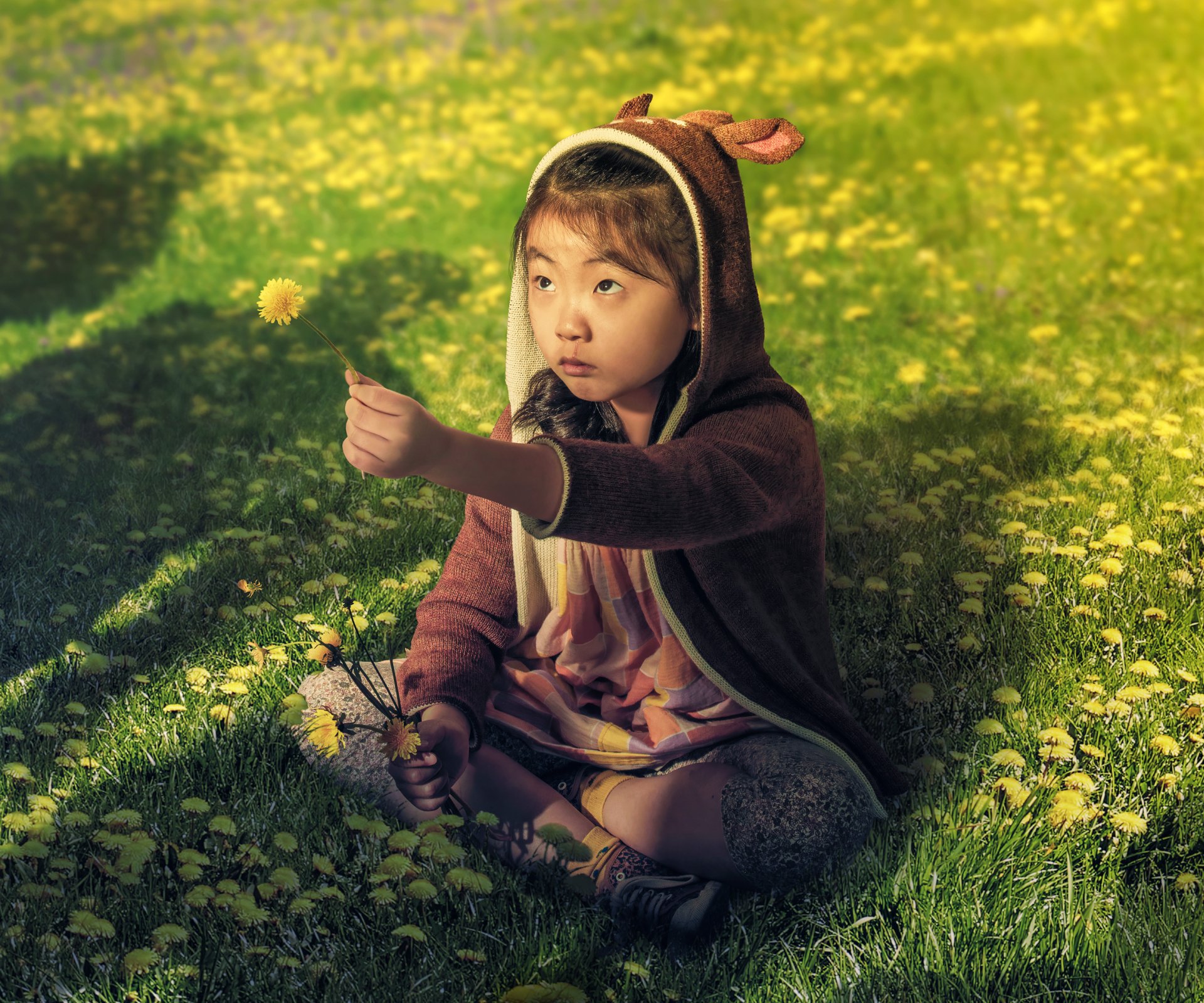 Download Movie Knock At The Cabin HD Wallpaper