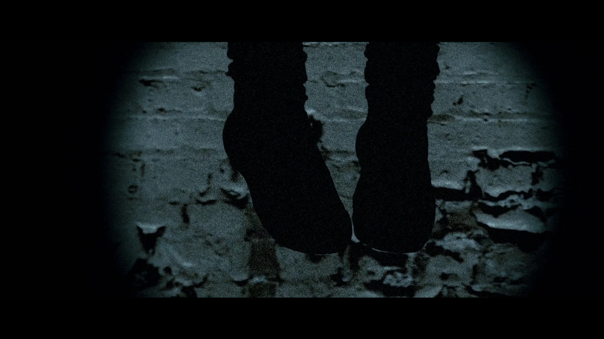 Download Movie Shrooms HD Wallpaper