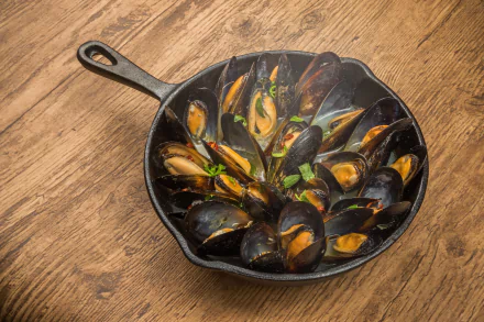 food Mussels HD Desktop Wallpaper | Background Image