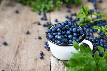 food blueberry HD Desktop Wallpaper | Background Image
