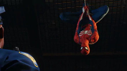  Spiderman Hanging