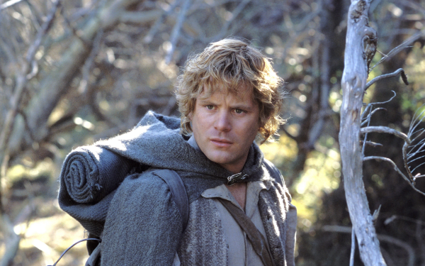 Sean Astin Samwise Gamgee movie The Lord of the Rings: The Return of the King HD Desktop Wallpaper | Background Image
