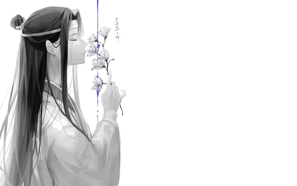 Lan Wangji Anime Mo Dao Zu Shi HD Desktop Wallpaper | Background Image