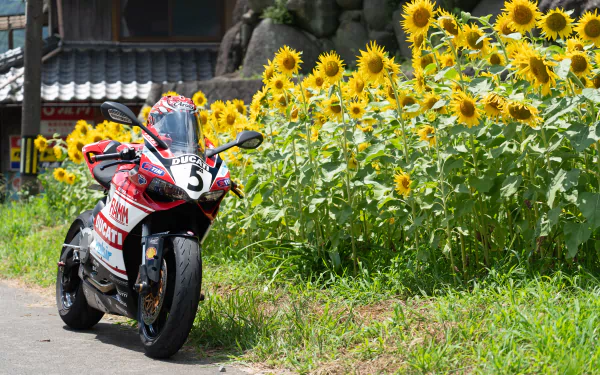 vehicle Ducati Panigale V4 HD Desktop Wallpaper | Background Image