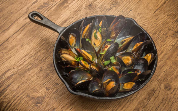 food Mussels HD Desktop Wallpaper | Background Image