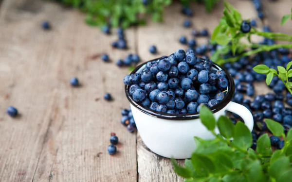 food blueberry HD Desktop Wallpaper | Background Image