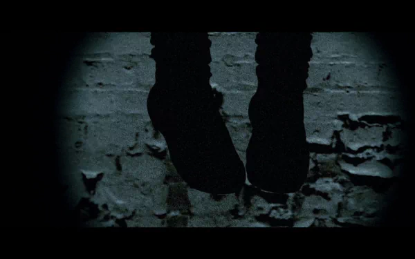 movie Shrooms HD Desktop Wallpaper | Background Image