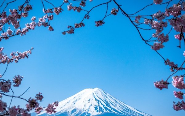 Nature Mount Fuji Volcanoes HD Wallpaper | Background Image