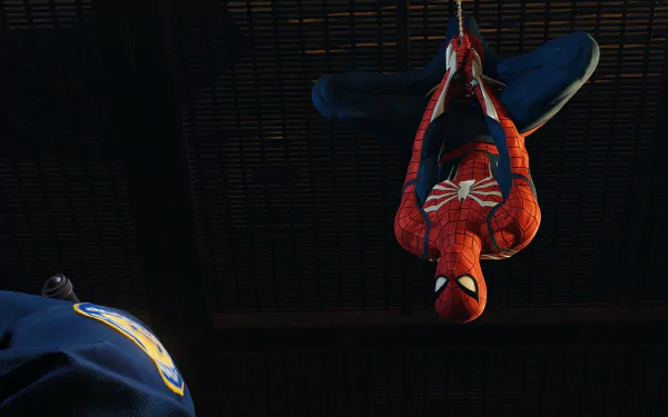  Spiderman Hanging