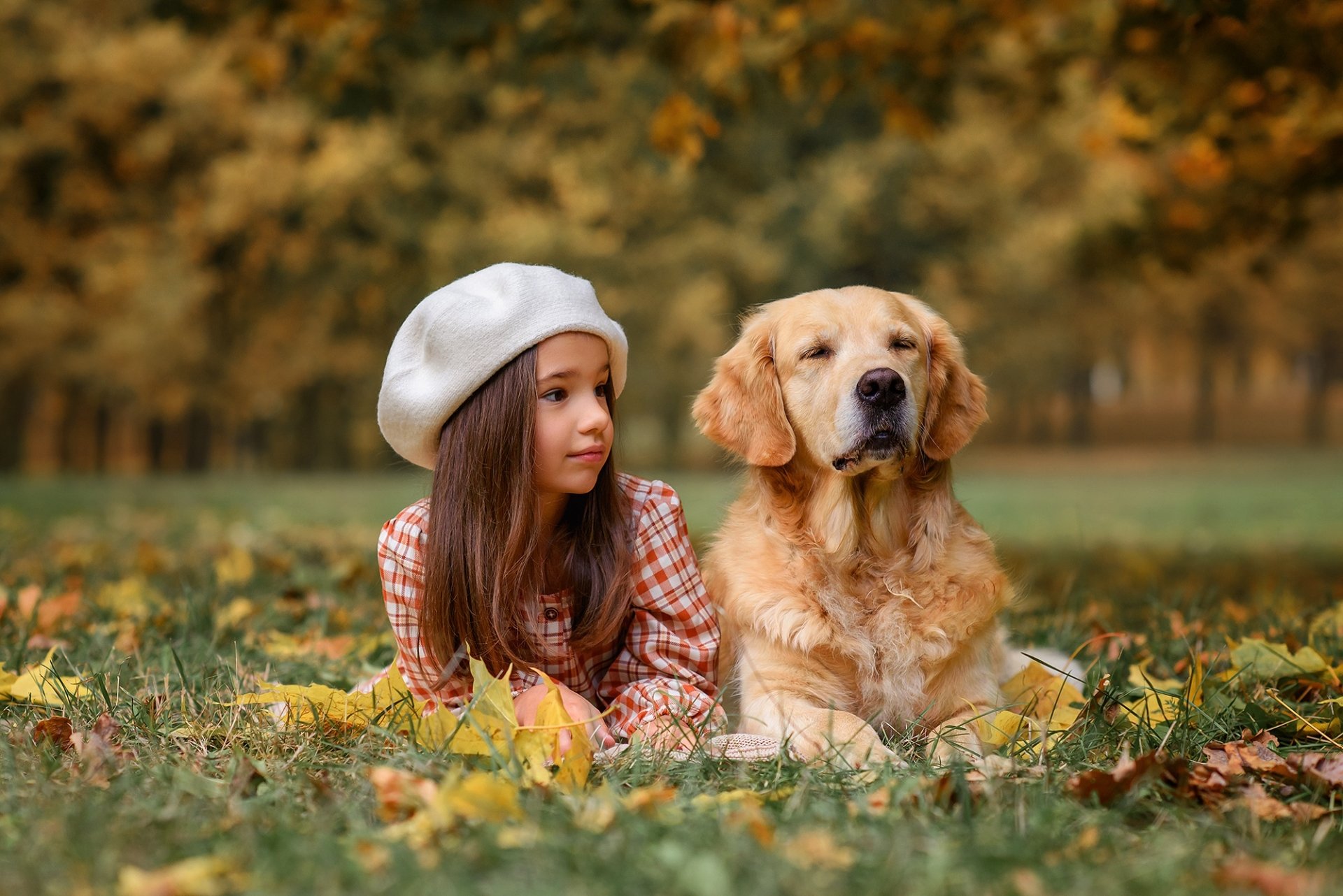 Download Golden Retriever Dog Photography Child Hd Wallpaper By 