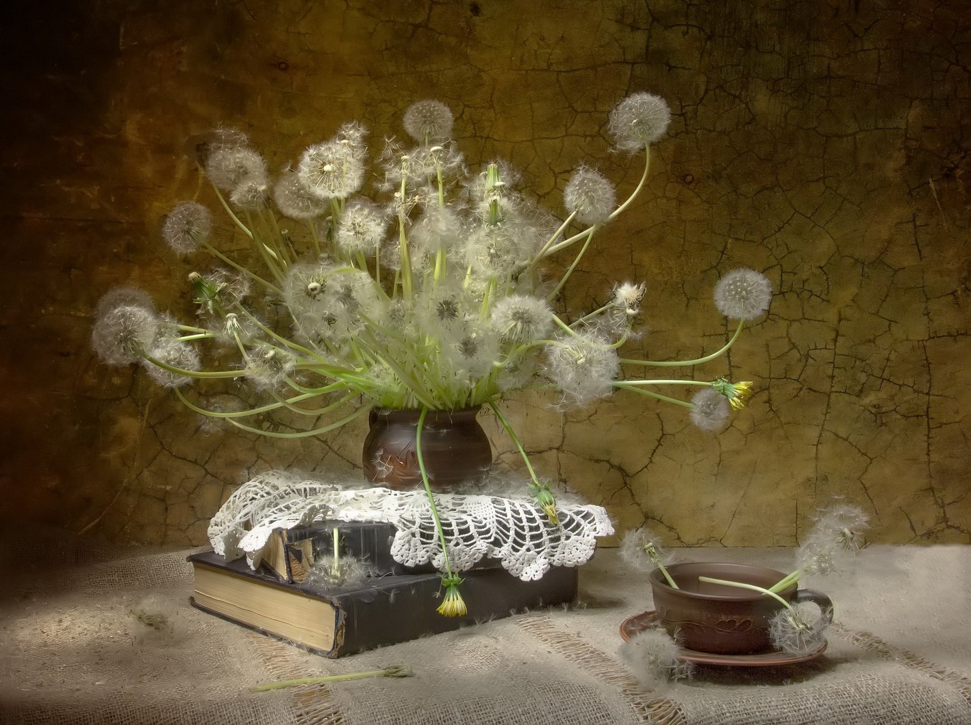 Whispers of Dandelion — Still Life HD Wallpaper | 1920x1435 | Wallpaper ...