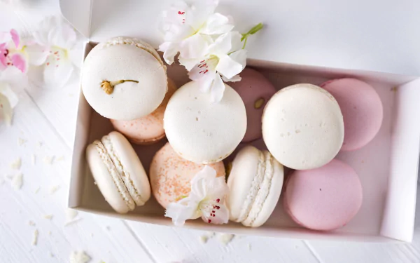 food macaron HD Desktop Wallpaper | Background Image